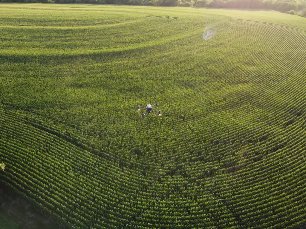 drone farming